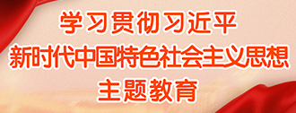 学习贯彻习近平习近平新时达中国特色社会主义思想主题教育